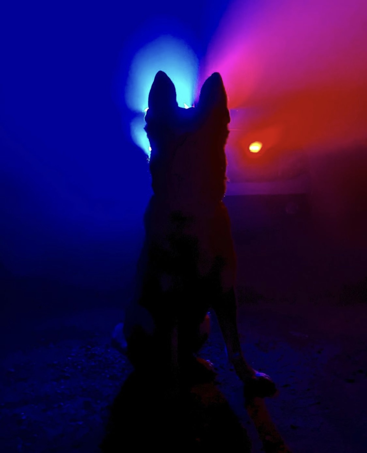 K-9 Guardians of State Parks.
